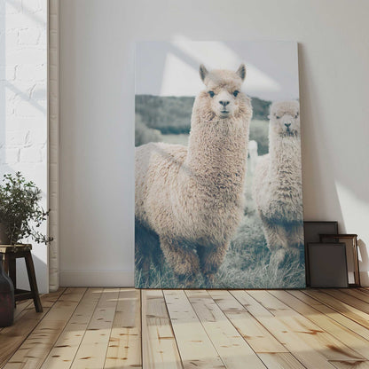 [LIFESTYLE],[SPECIAL],  Picture of art in a room