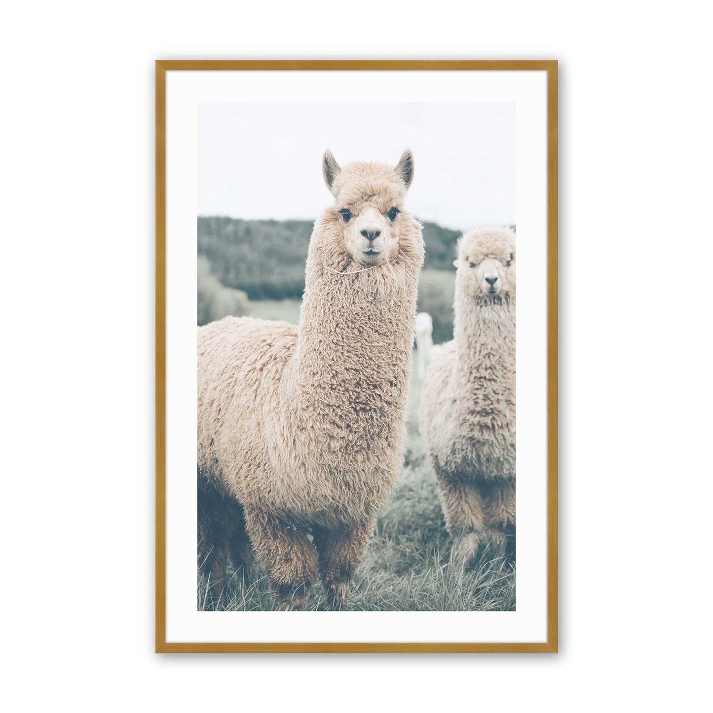 [Color:Polished Gold], Picture of art in a Polished Gold frame