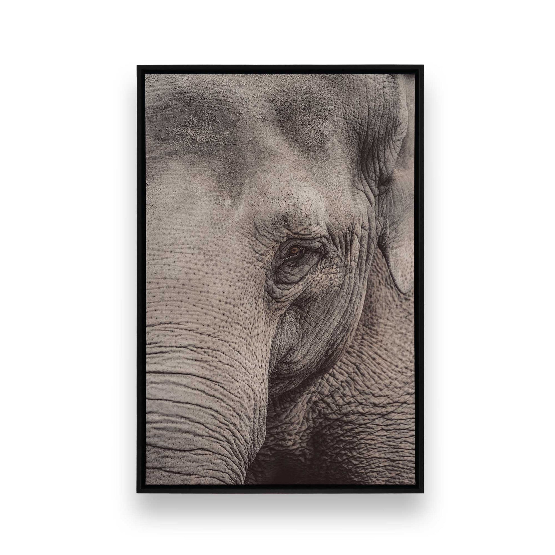 [Color:Satin Black], Front image of the art