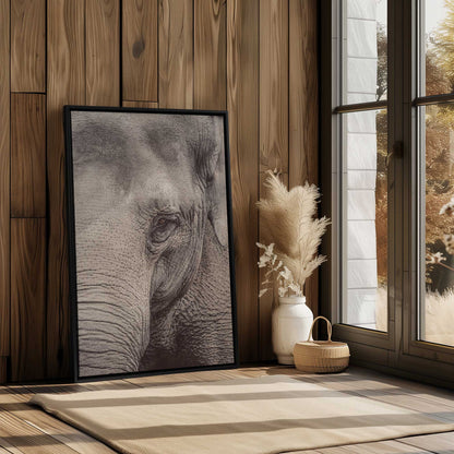 Elephant Close-Up Canvas Print