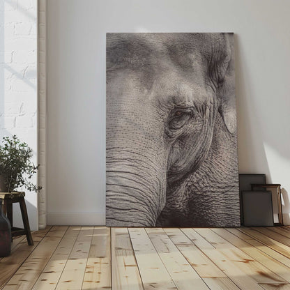 [LIFESTYLE],[SPECIAL],  Picture of art in a room