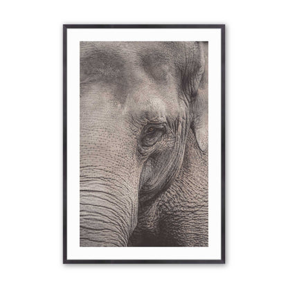 [Color:Weathered Zinc], Picture of art in a Weathered Zinc frame