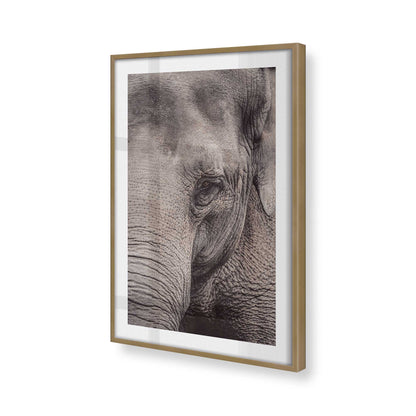 [Color:Brushed Gold], Picture of art in a Brushed Gold frame at an angle