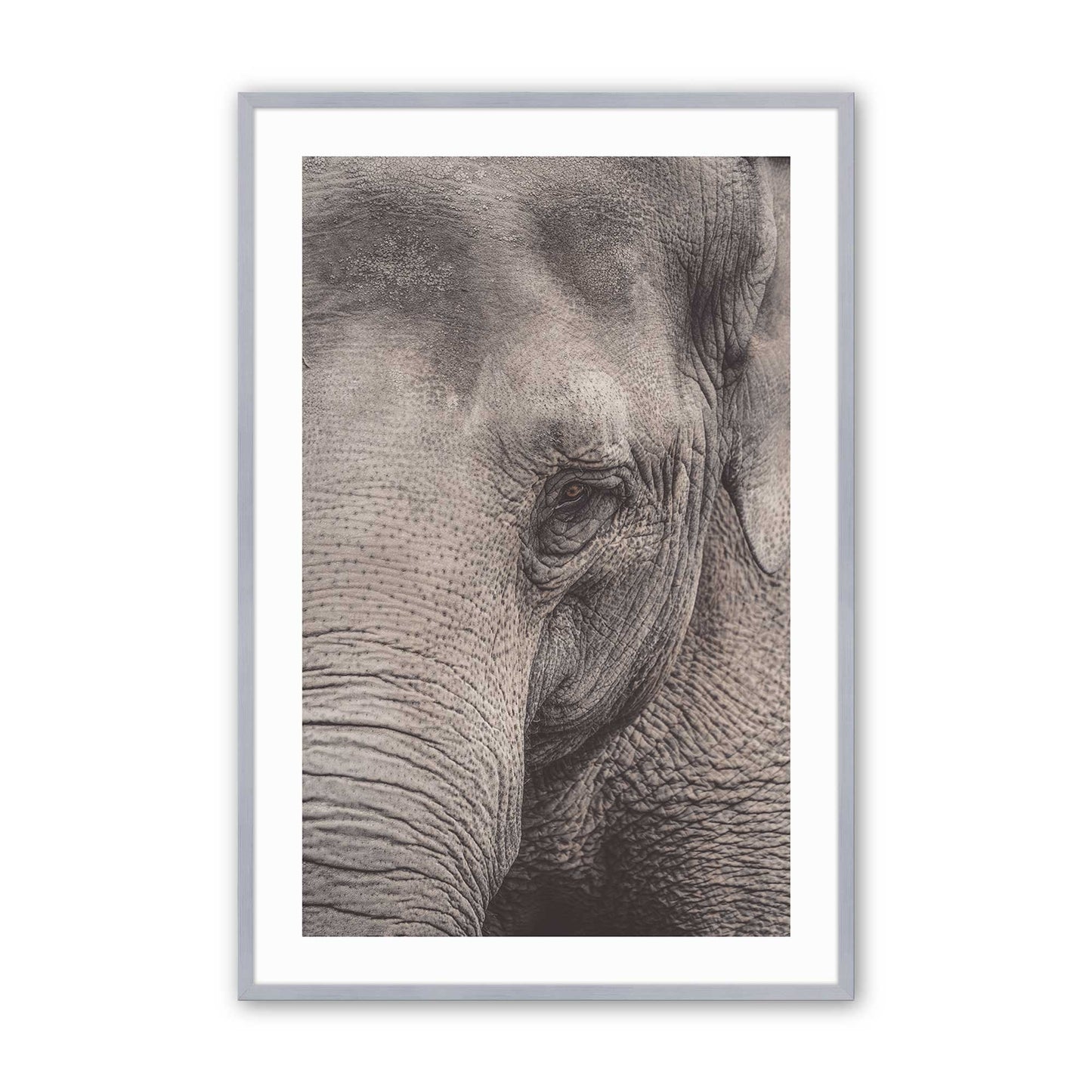 [Color:Polished Chrome], Picture of art in a Polished Chrome frame