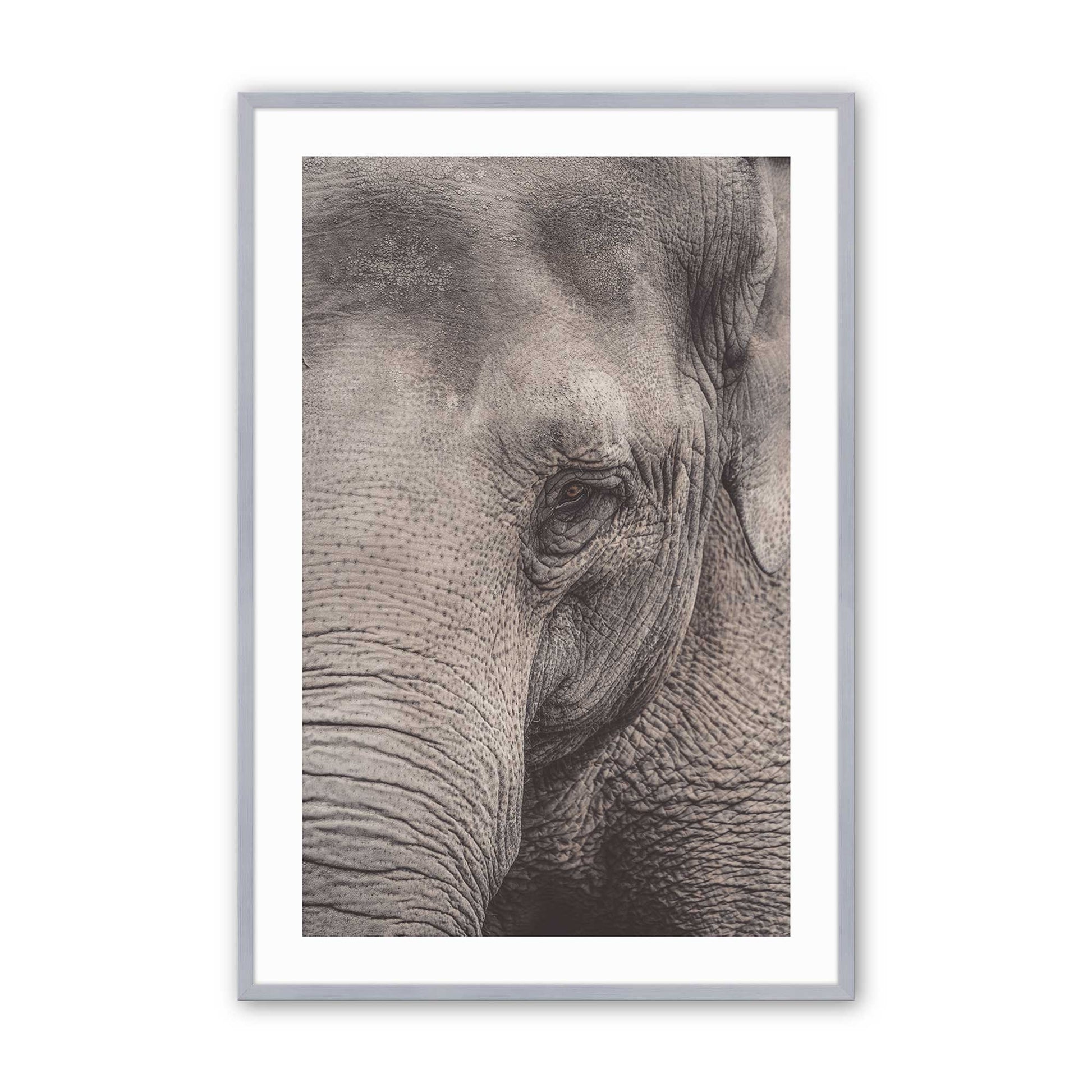 [Color:Polished Chrome], Picture of art in a Polished Chrome frame