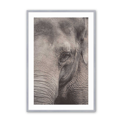 [Color:Polished Chrome], Picture of art in a Polished Chrome frame