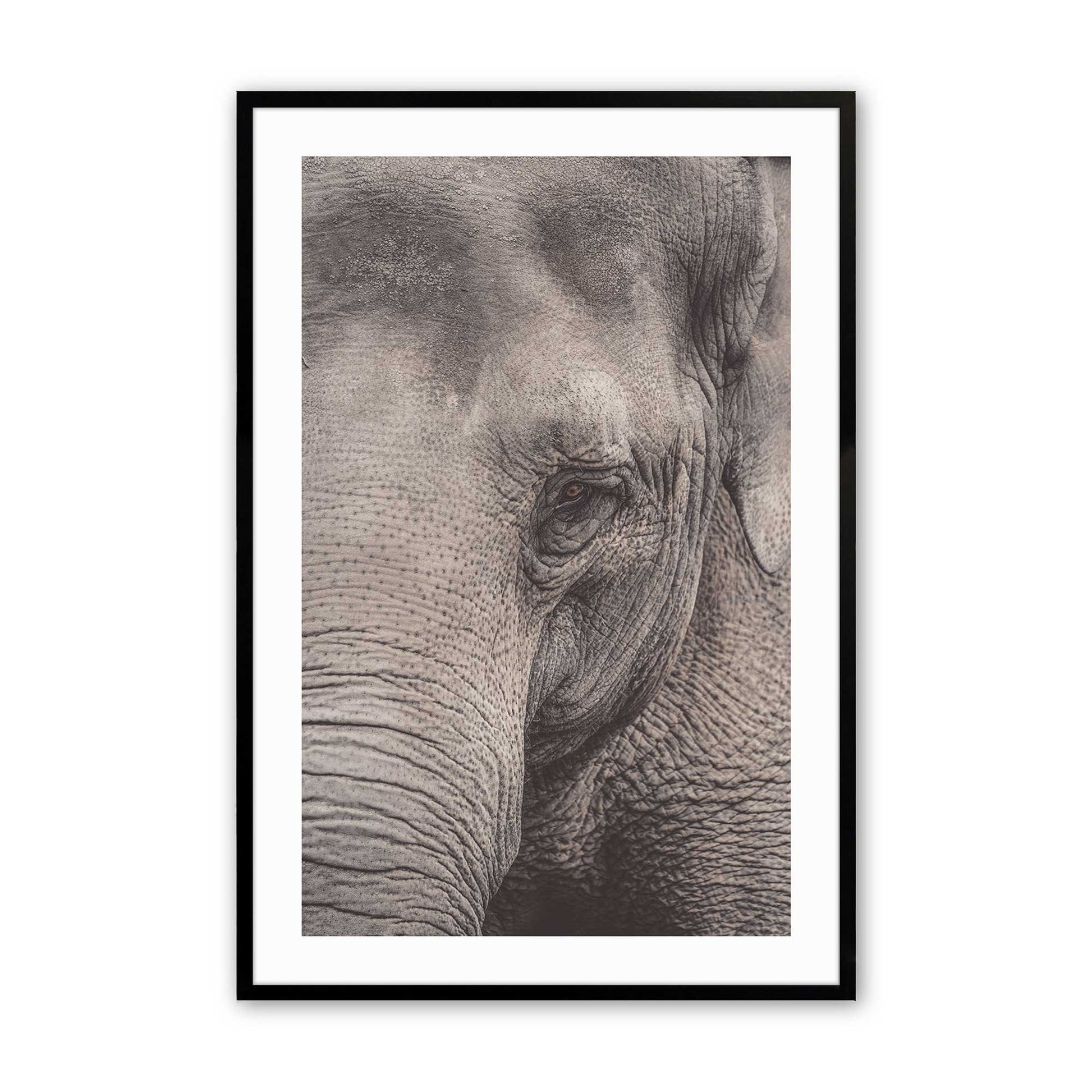 [Color:Satin Black], Picture of art in a Satin Black frame