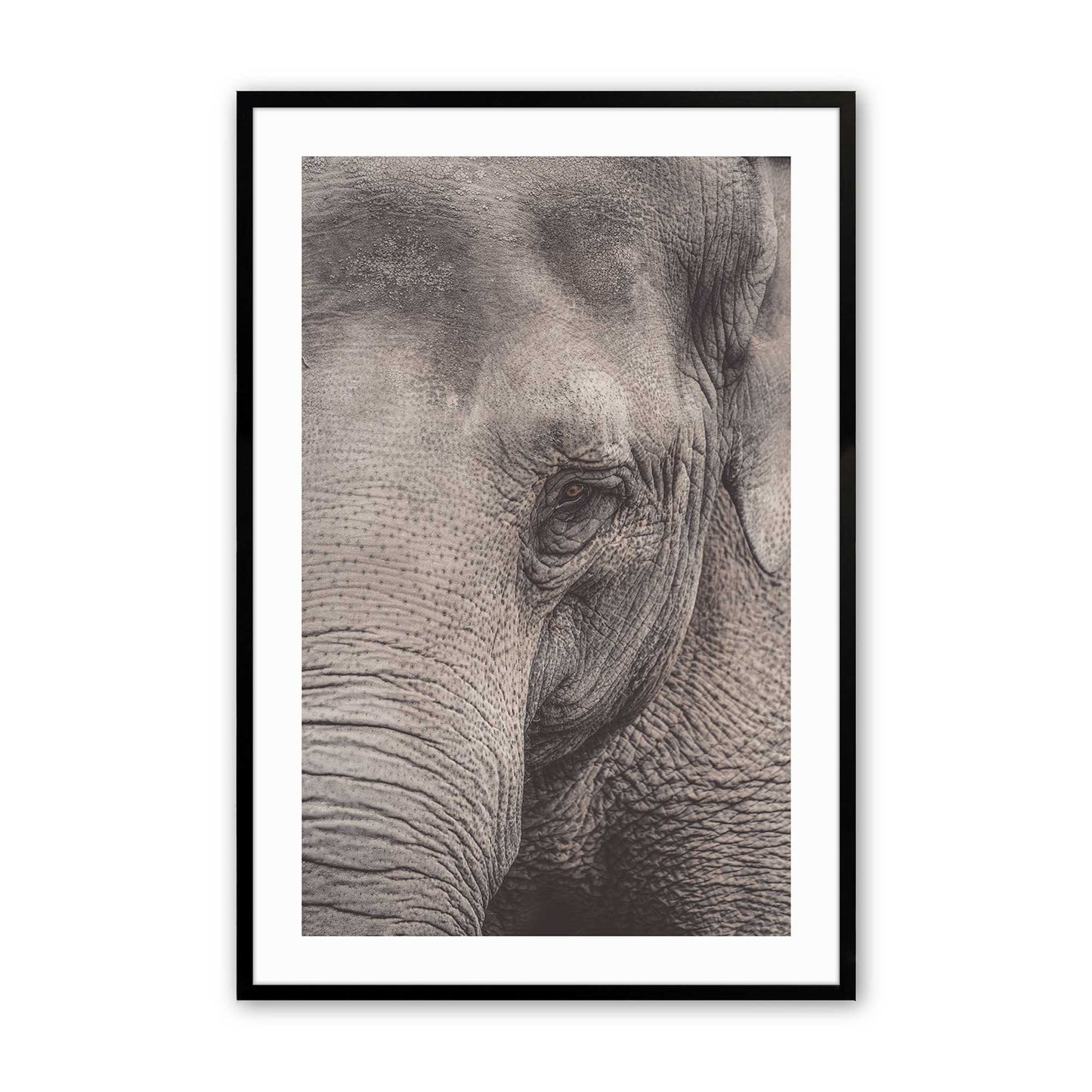 [Color:Satin Black],Front image of the art