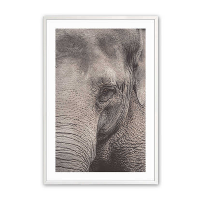 [Color:Opaque White], Picture of art in a Opaque White frame