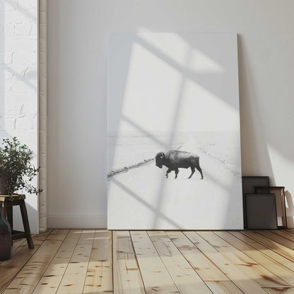 [LIFESTYLE],[SPECIAL],  Picture of art in a room