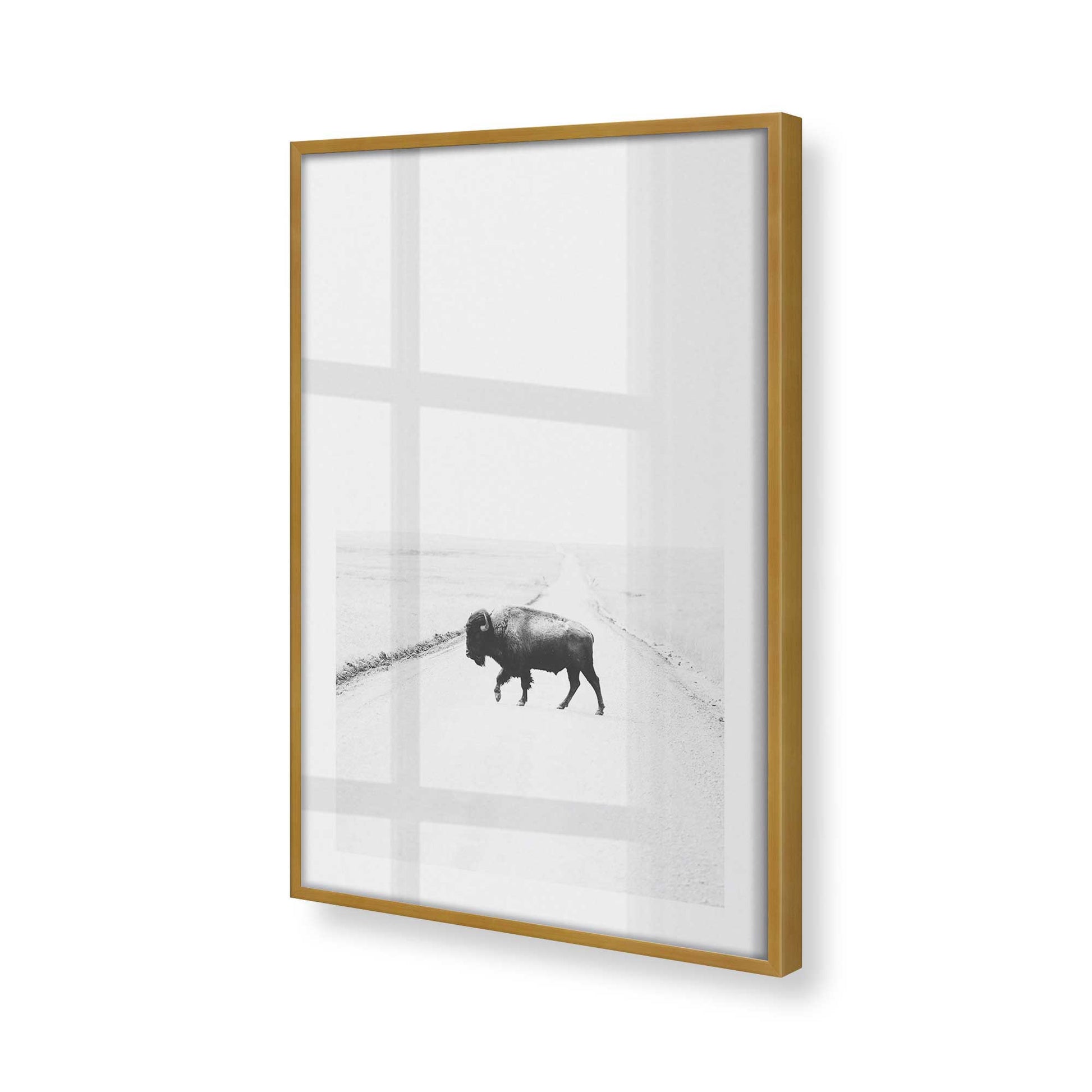 [Color:Polished Gold], Picture of art in a Polished Gold frame at an angle