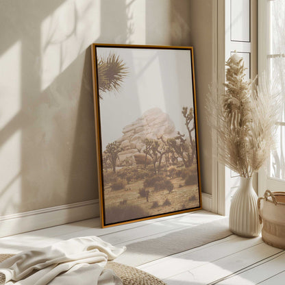 Joshua Trees in the Morning Canvas Print