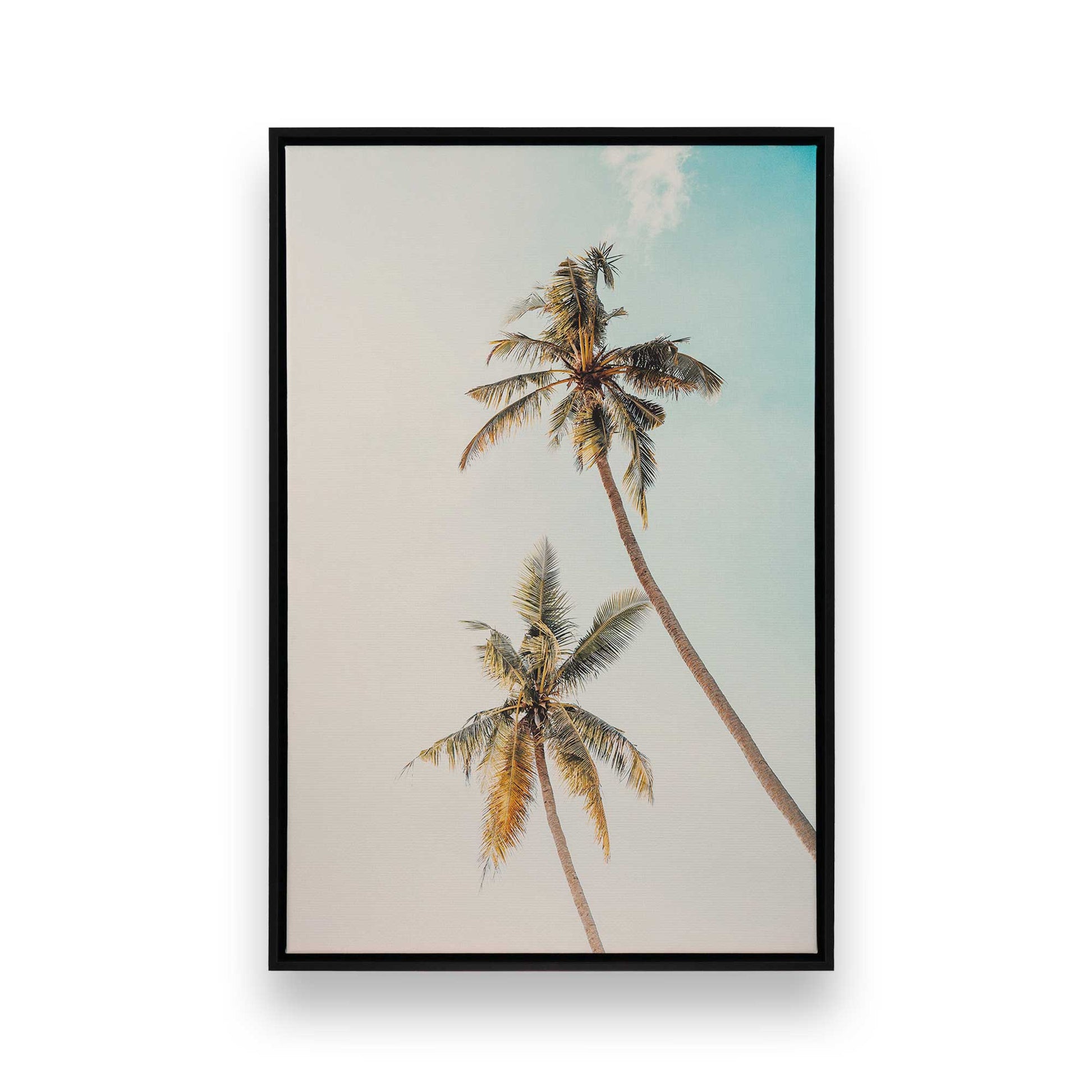 [Color:Satin Black], Front image of the art