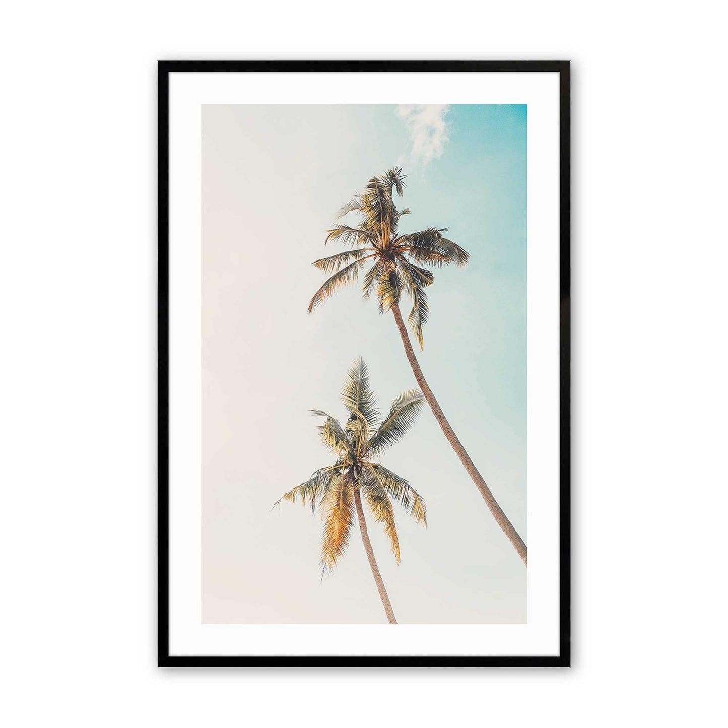 [Color:Satin Black],Front image of the art