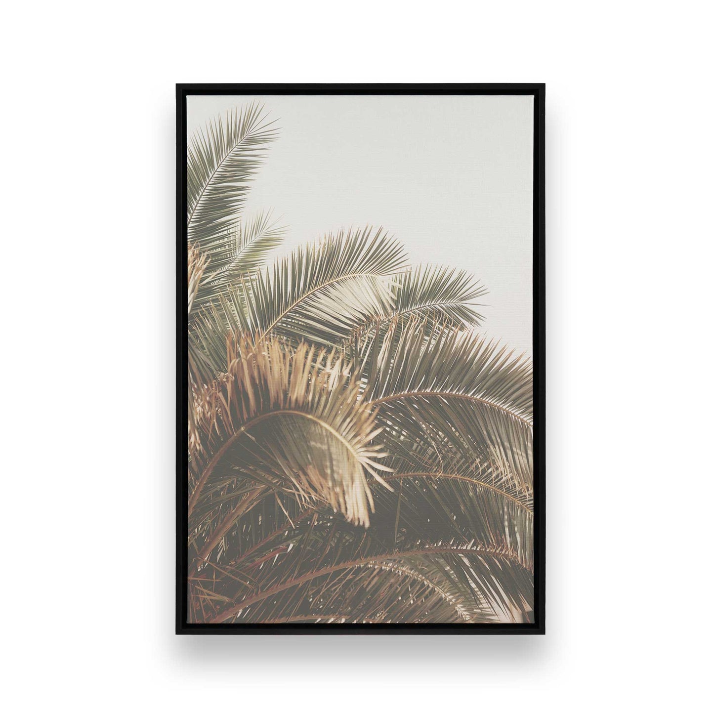 [Color:Satin Black], Front image of the art