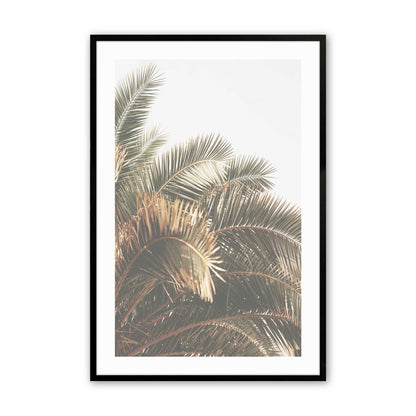 [Color:Satin Black],Front image of the art