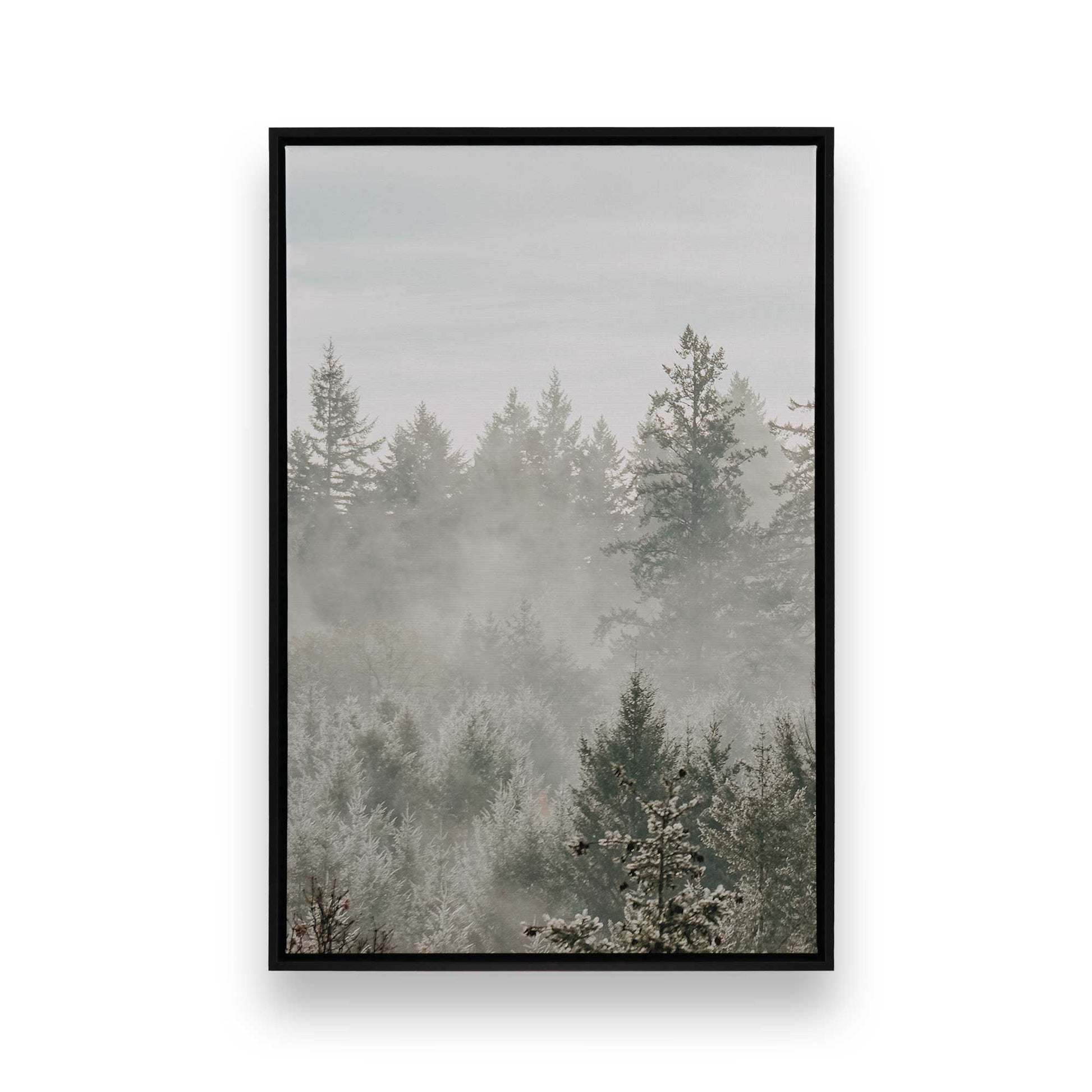 [Color:Satin Black], Front image of the art