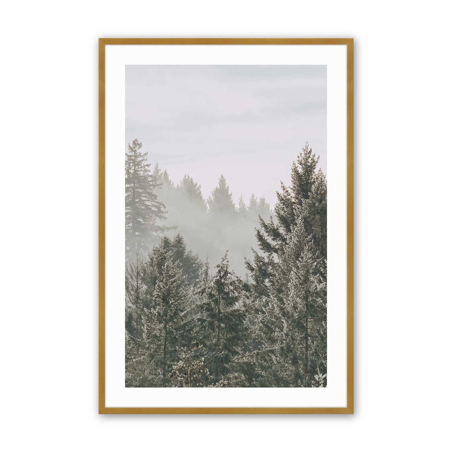 [Color:Polished Gold], Picture of art in a Polished Gold frame