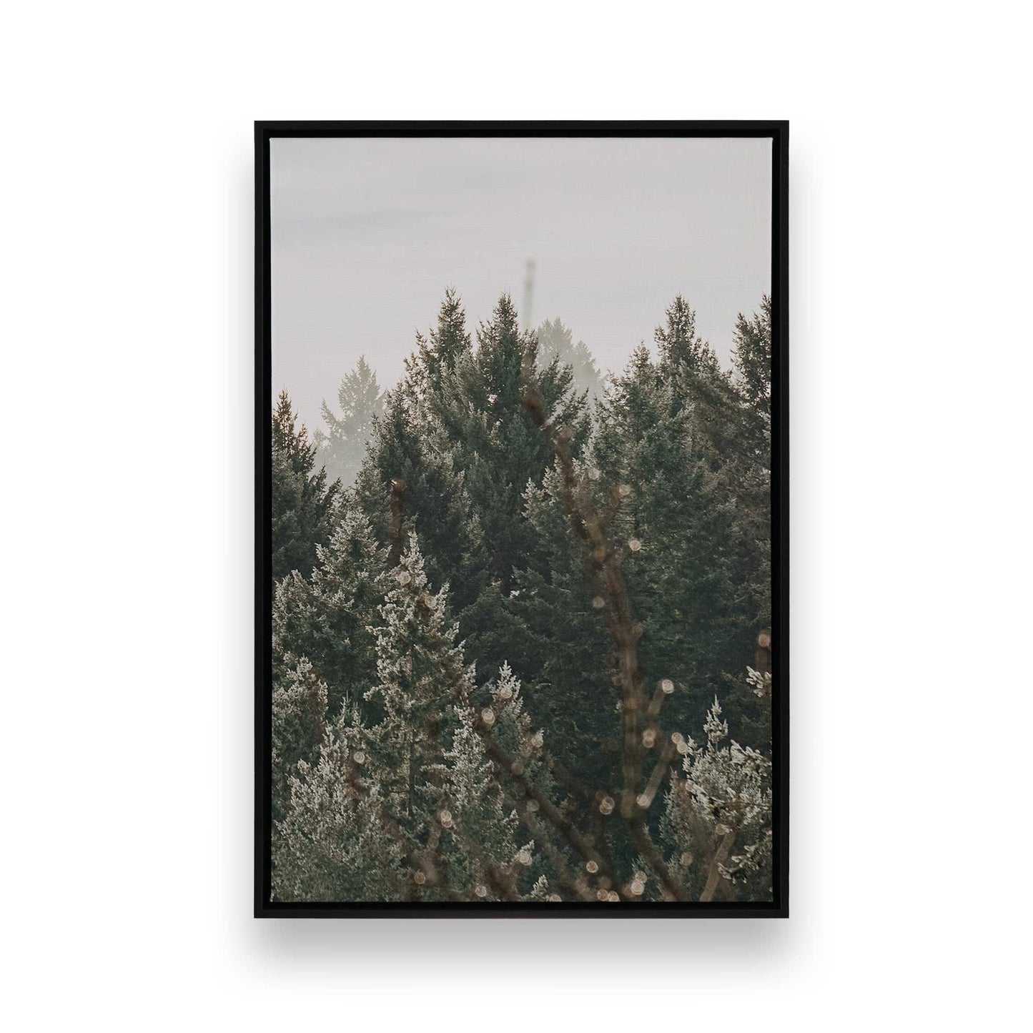 [Color:Satin Black], Front image of the art