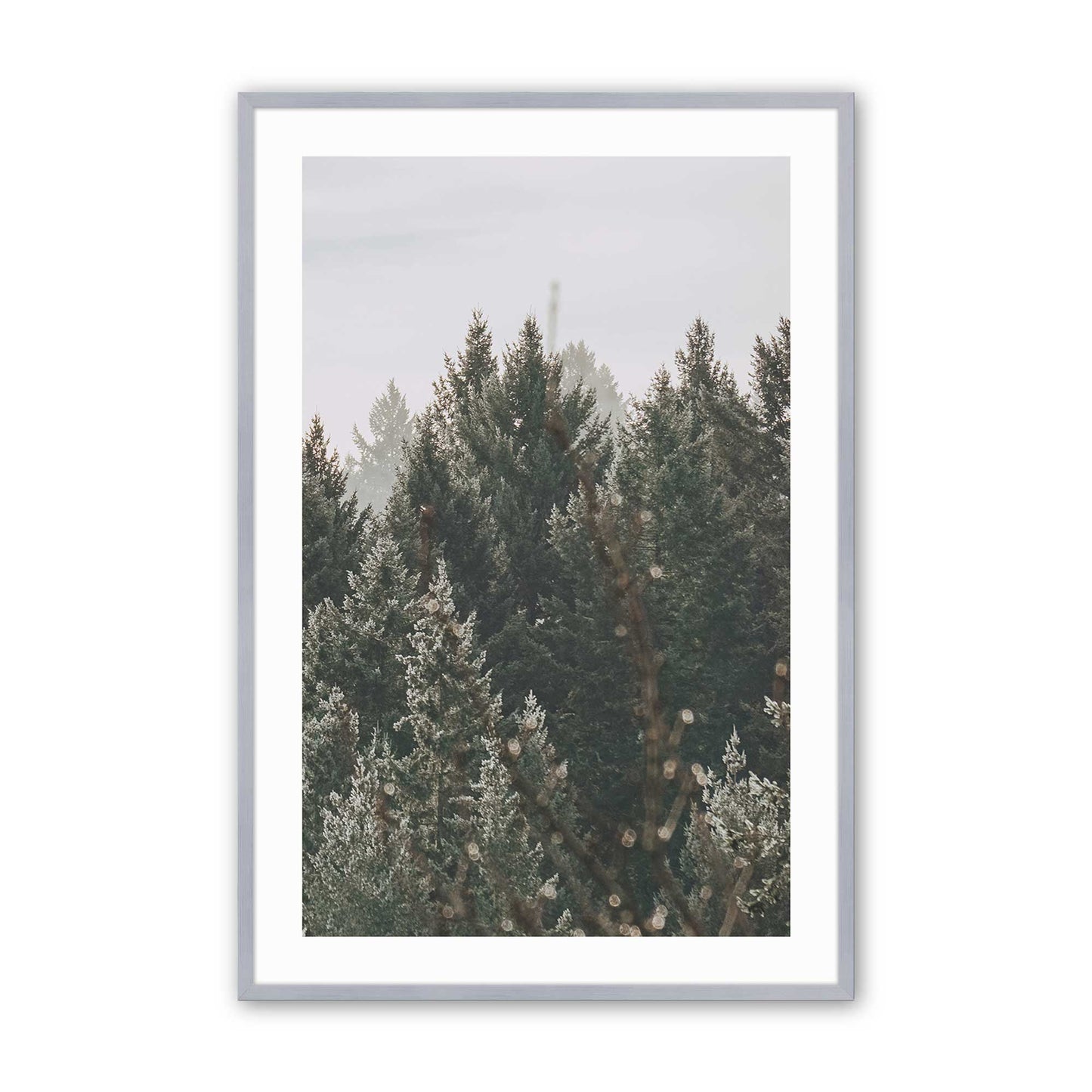 [Color:Polished Chrome], Picture of art in a Polished Chrome frame