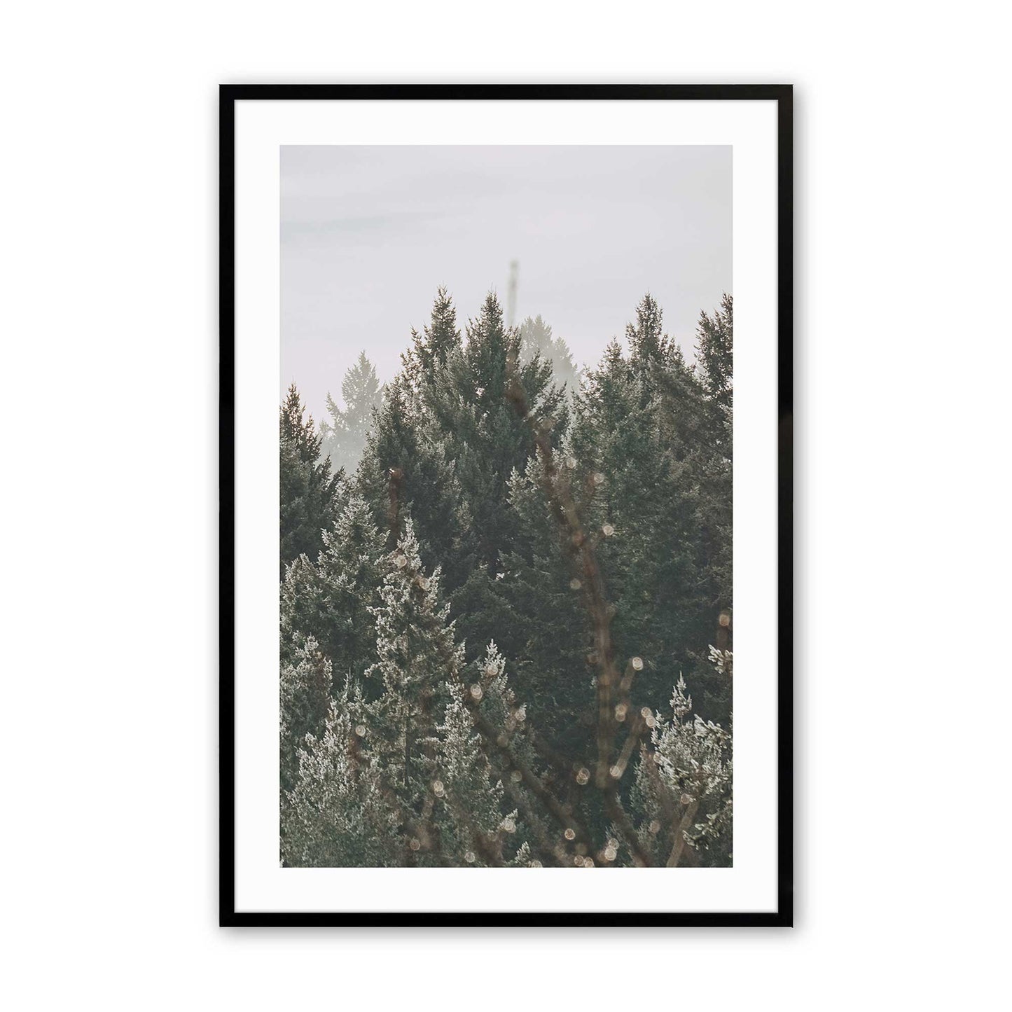[Color:Satin Black], Picture of art in a Satin Black frame