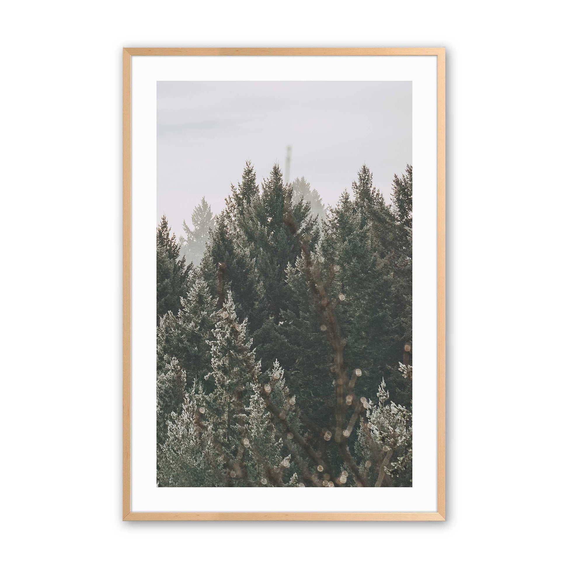 [Color:Raw Maple], Picture of art in a Raw Maple frame
