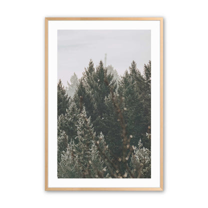 [Color:Raw Maple], Picture of art in a Raw Maple frame