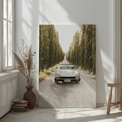 [LIFESTYLE],[SPECIAL],  Picture of art in a room