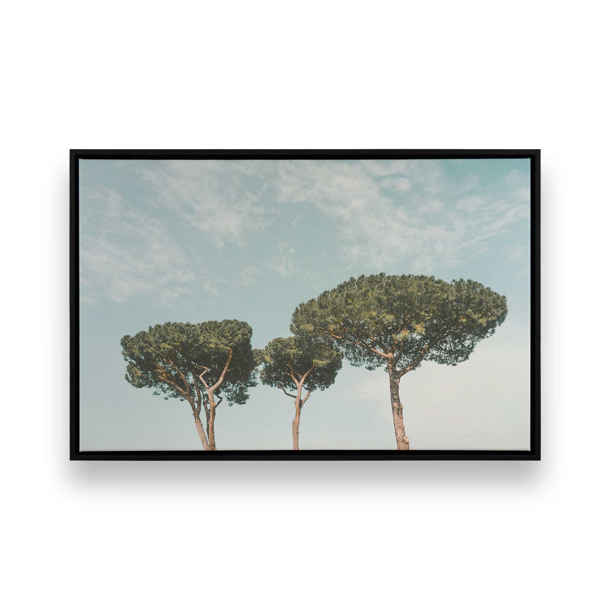 [Color:Satin Black], Front image of the art