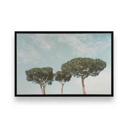 [Color:Satin Black], Front image of the art