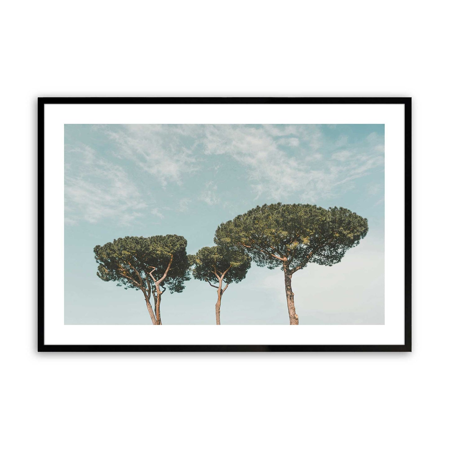 [Color:Satin Black],Front image of the art