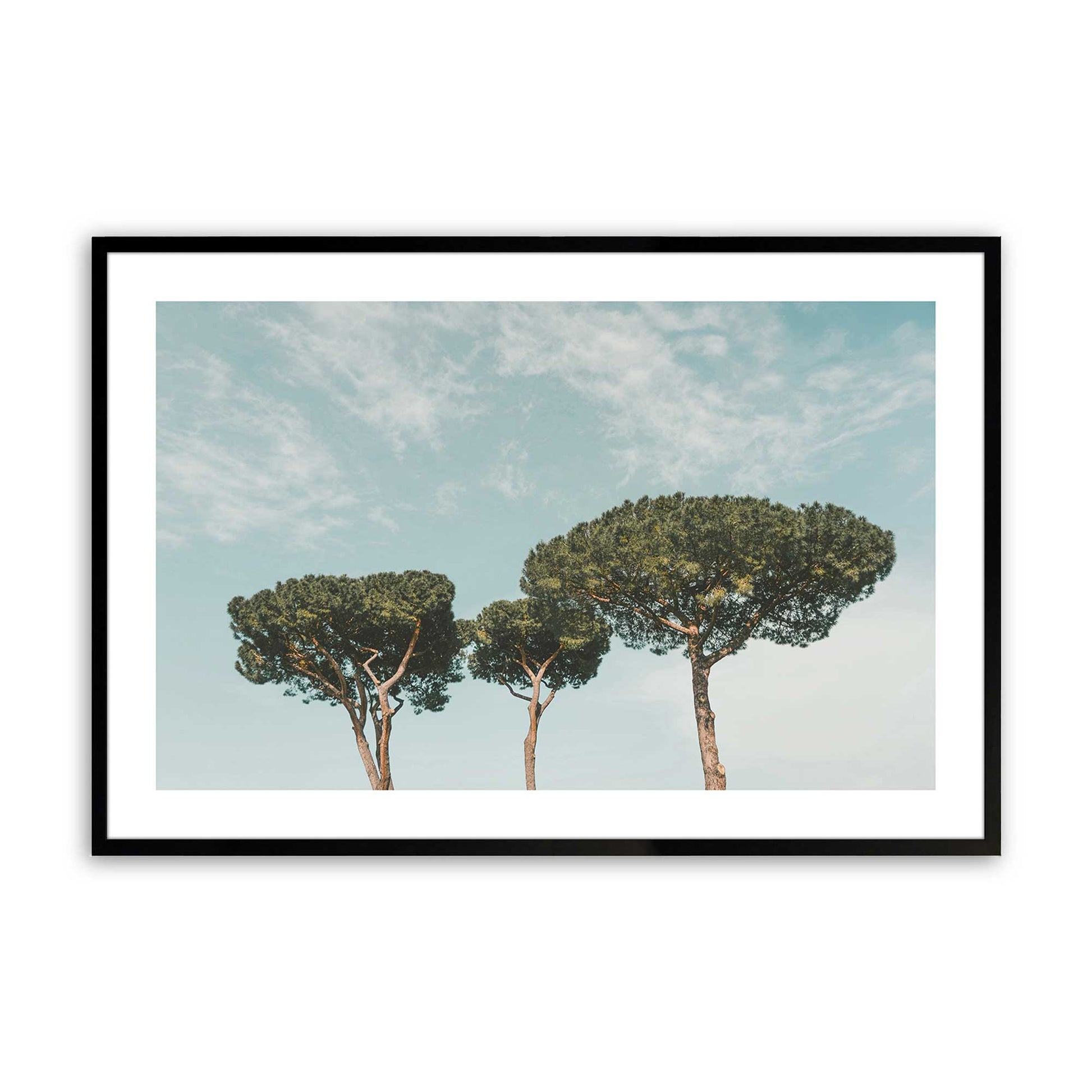 [Color:Satin Black],Front image of the art