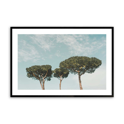 [Color:Satin Black],Front image of the art