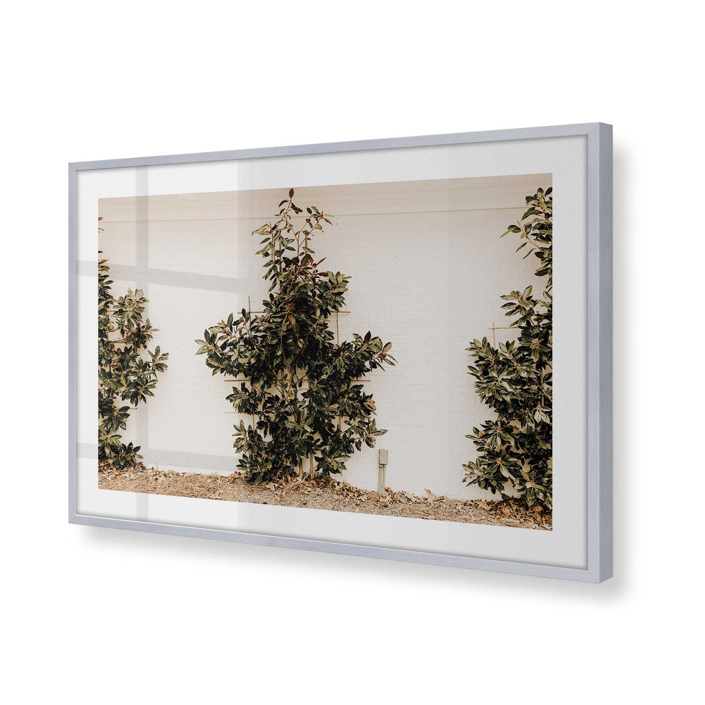 [Color:Polished Chrome], Picture of art in a Polished Chrome frame of the corner