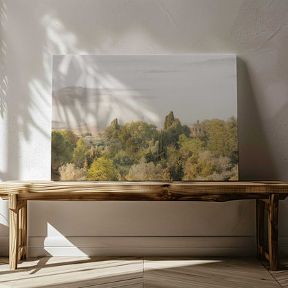 [LIFESTYLE],[SPECIAL],  Picture of art in a room