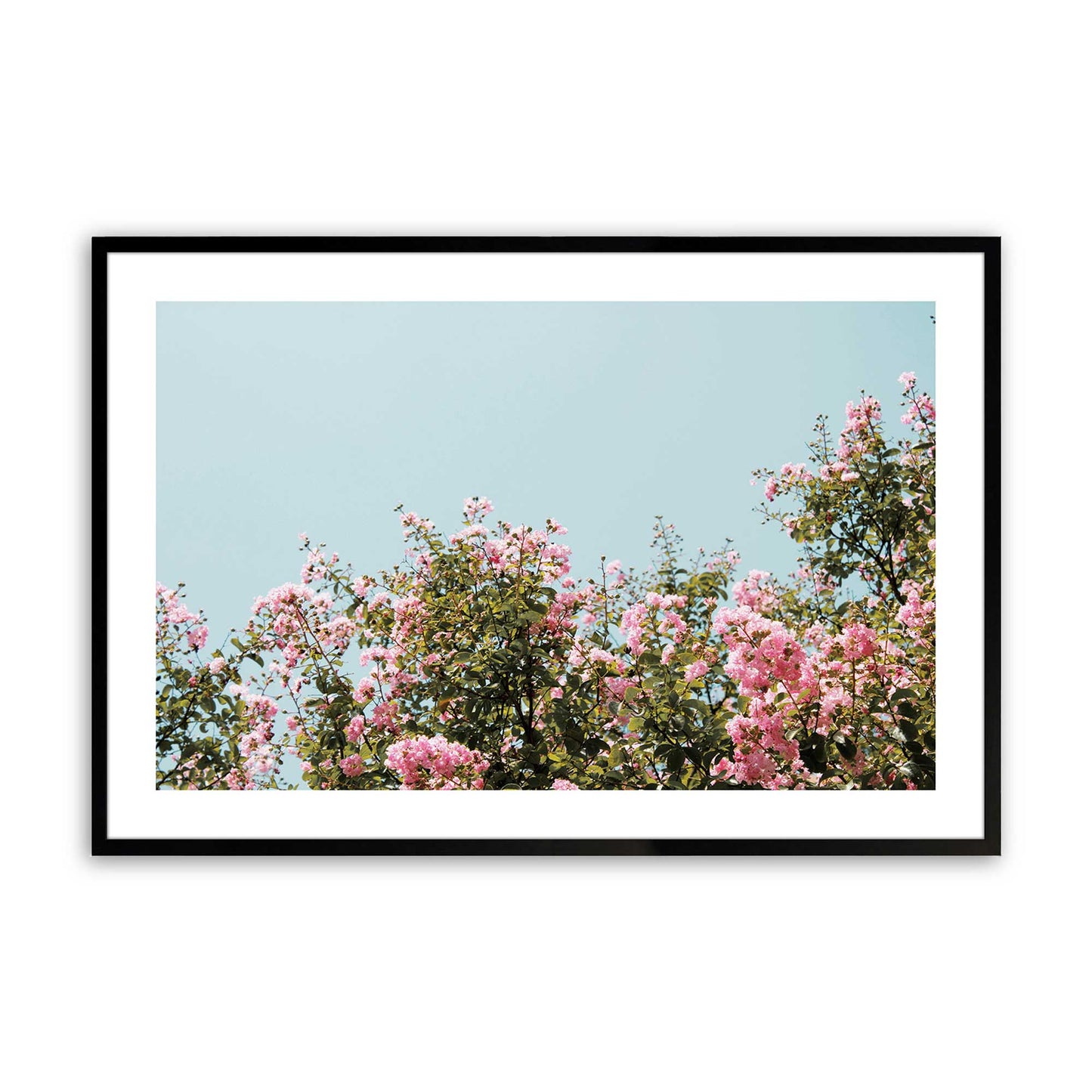 [Color:Satin Black], Picture of art in a Satin Black frame