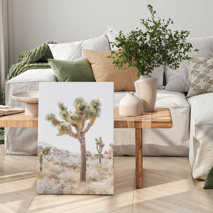 Lone Joshua Tree Canvas Print
