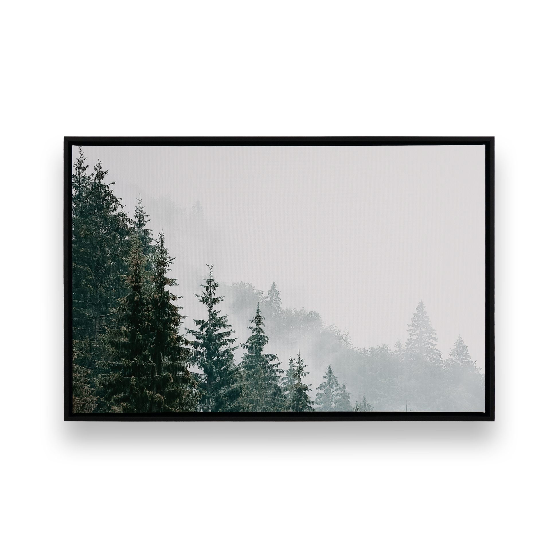 [Color:Satin Black], Front image of the art