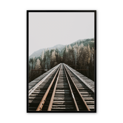 [Color:Satin Black],Front image of the art