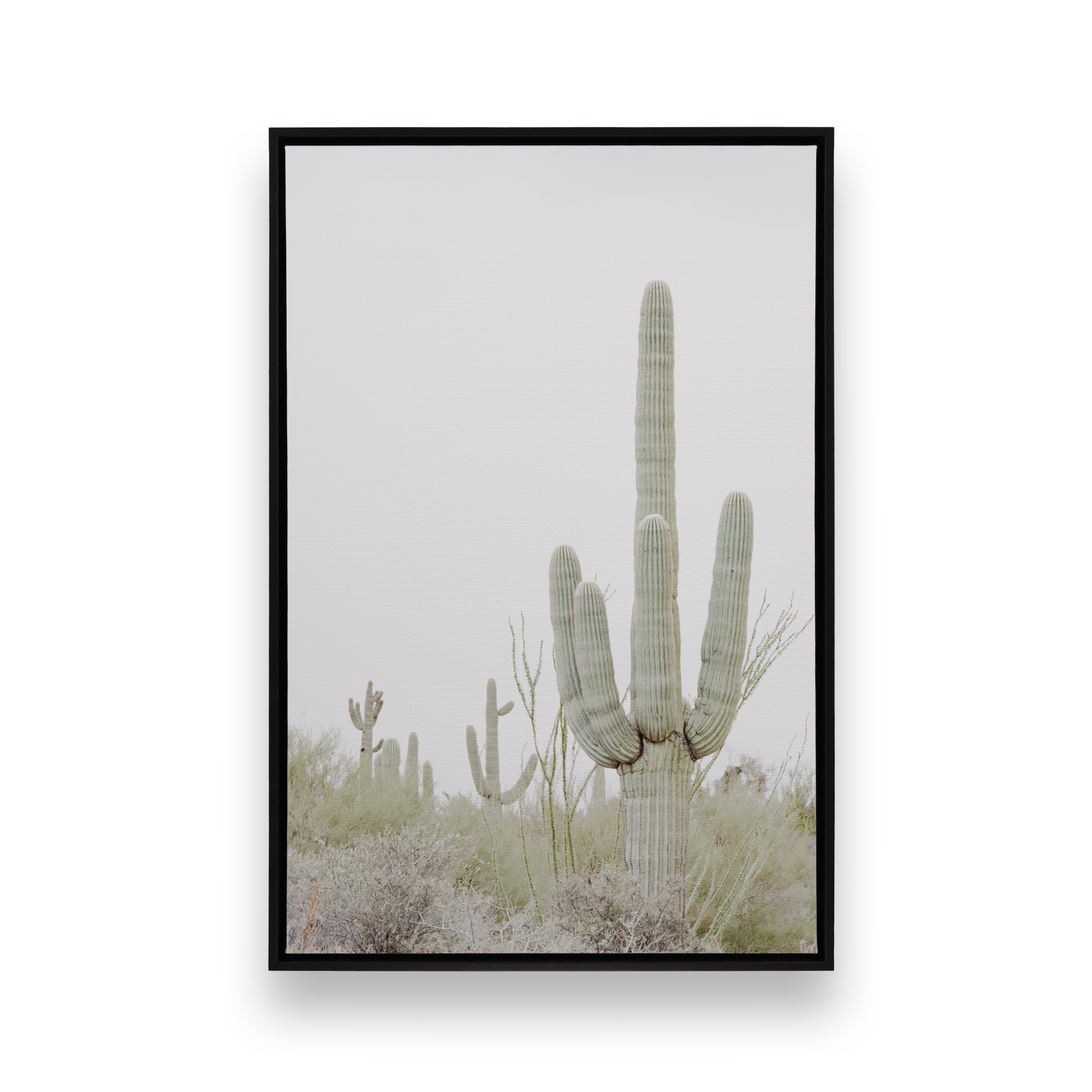 [Color:Satin Black], Front image of the art