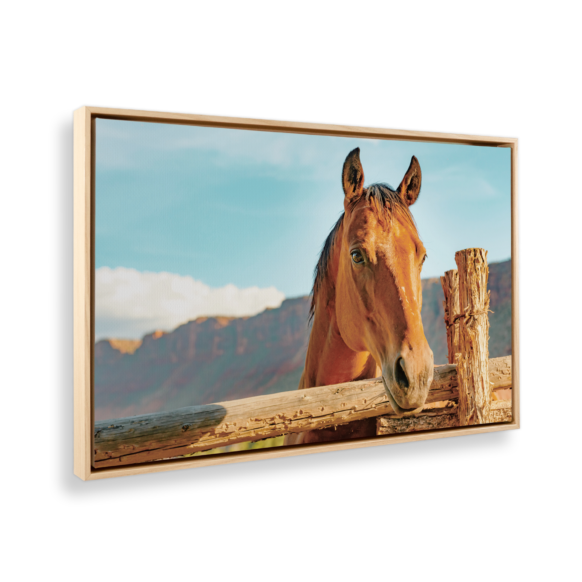 [color:American Maple], Picture of art in frame