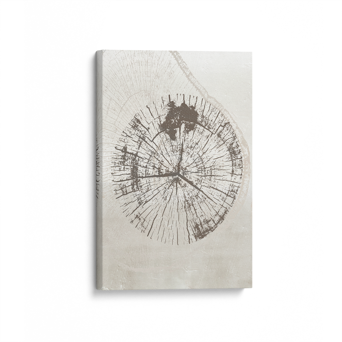 Timeless Tree Rings Canvas Print, Set of 3