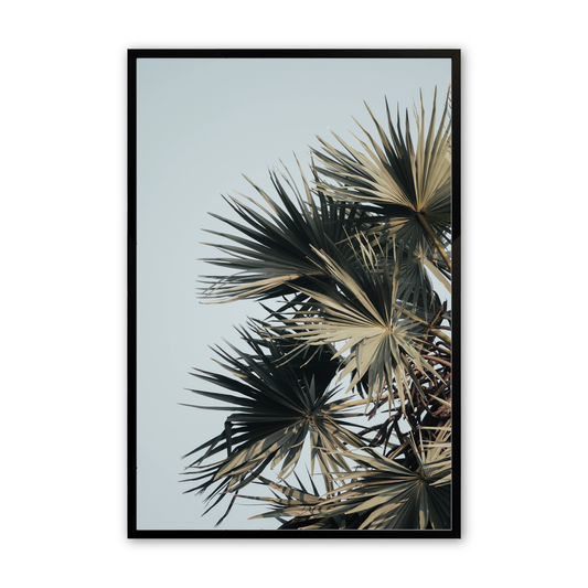 [Color:Satin Black],Front image of the art