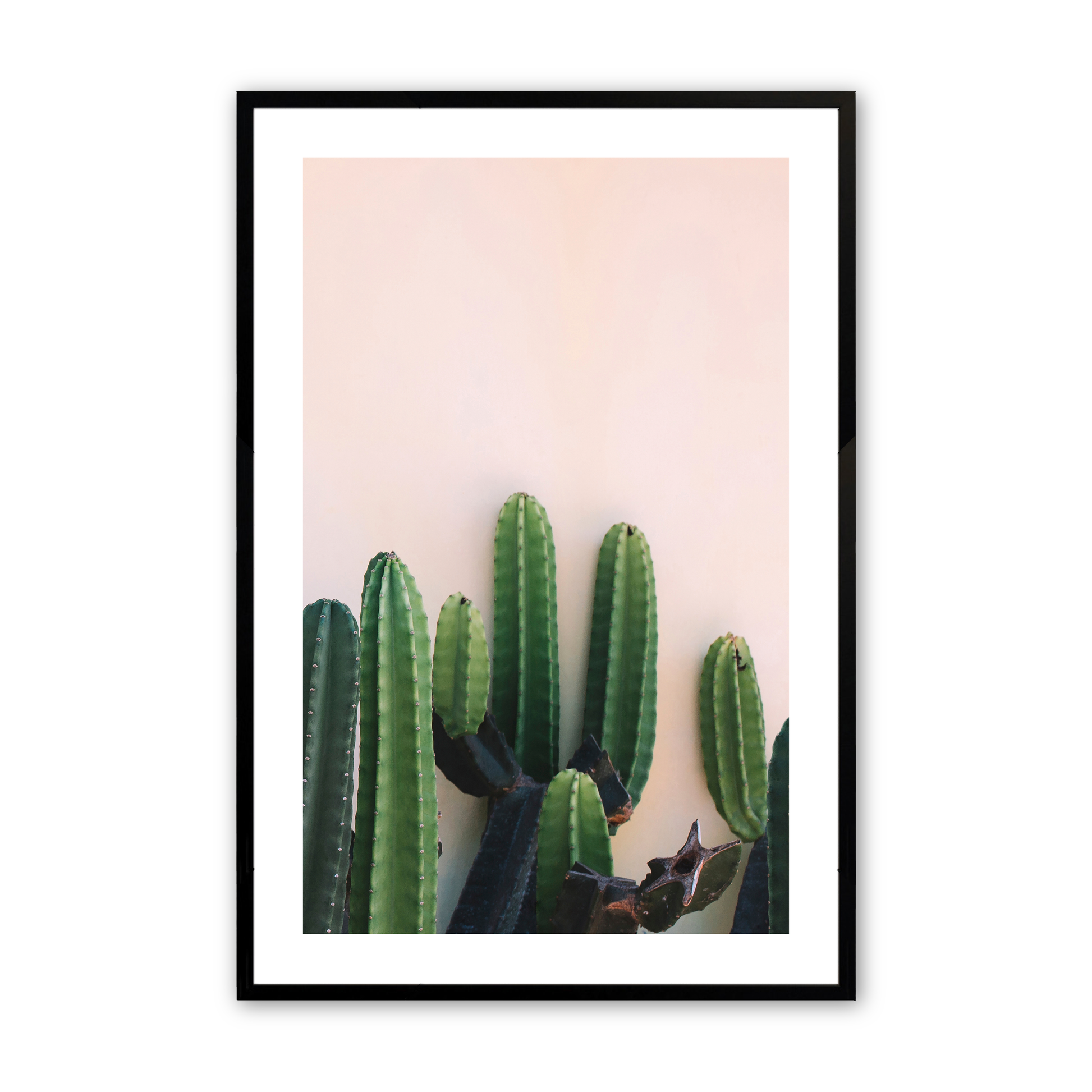 [Color:Satin Black],Front image of the art